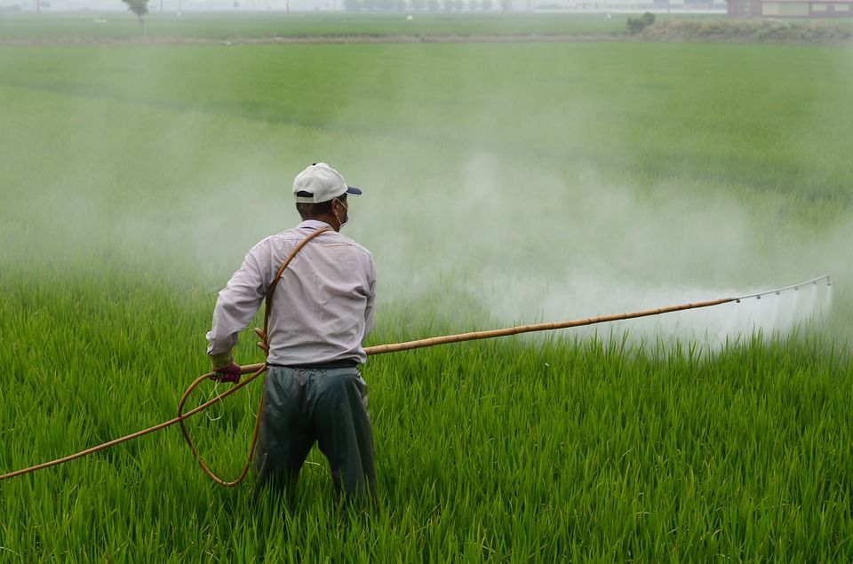 This image has an empty alt attribute; its file name is herbicide-587589_960_720.jpg