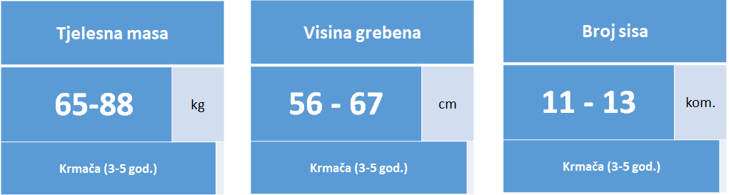 Moravka