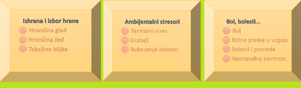 Kritične tačke dobrobiti u estenzivnom stočarstvu (Prvi dio)
