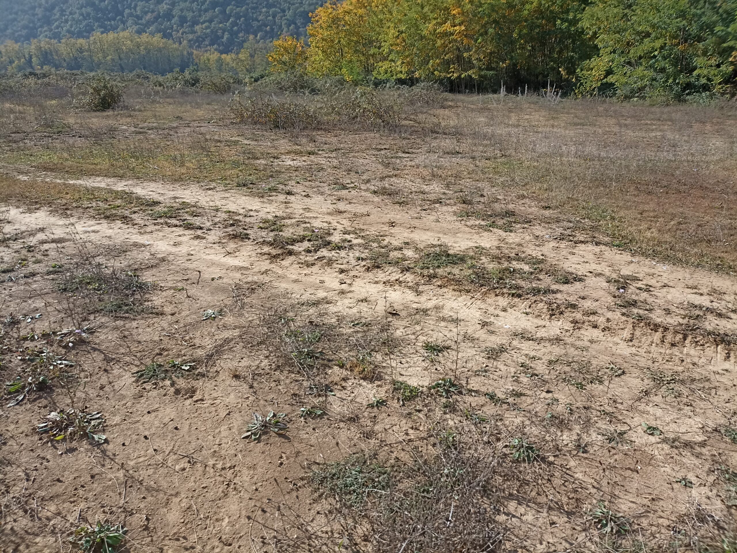 Dehumusizacija – završni udarac crnogorskoj poljoprivredi (30+ foto)
