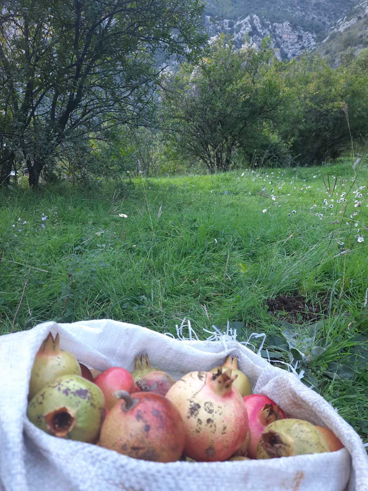 Marko Đurašević: Agroturizam je zasigurno jedna od najljepših grana — spoj lijepog i korisnog za nas i društvo