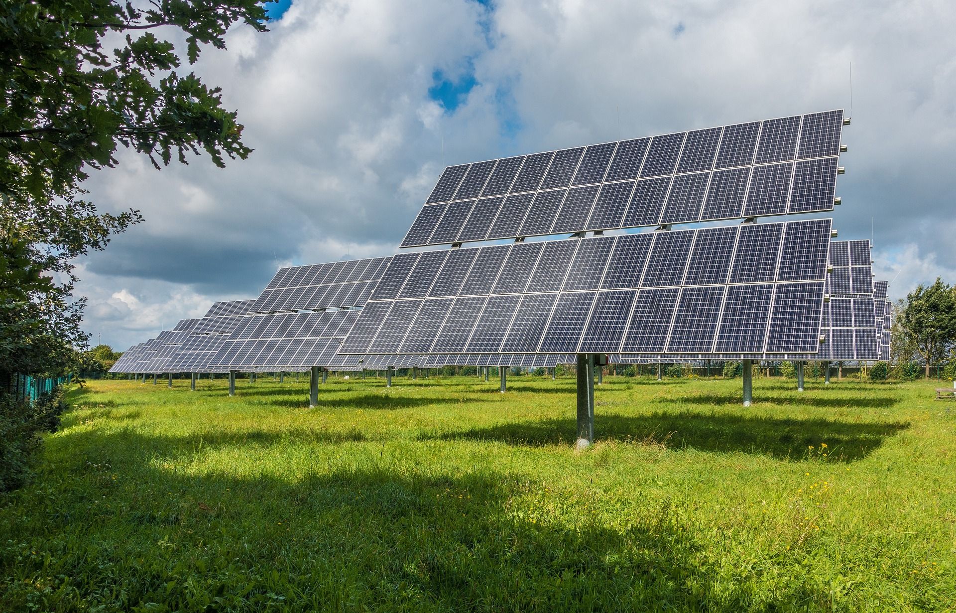 Španija: Mogu li usjevi i solarni paneli koegzistirati?