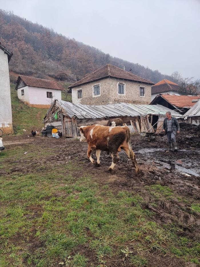 https://api.seljak.me/api/storage/posts/25upL3649AGkP6ba50jh.jpg