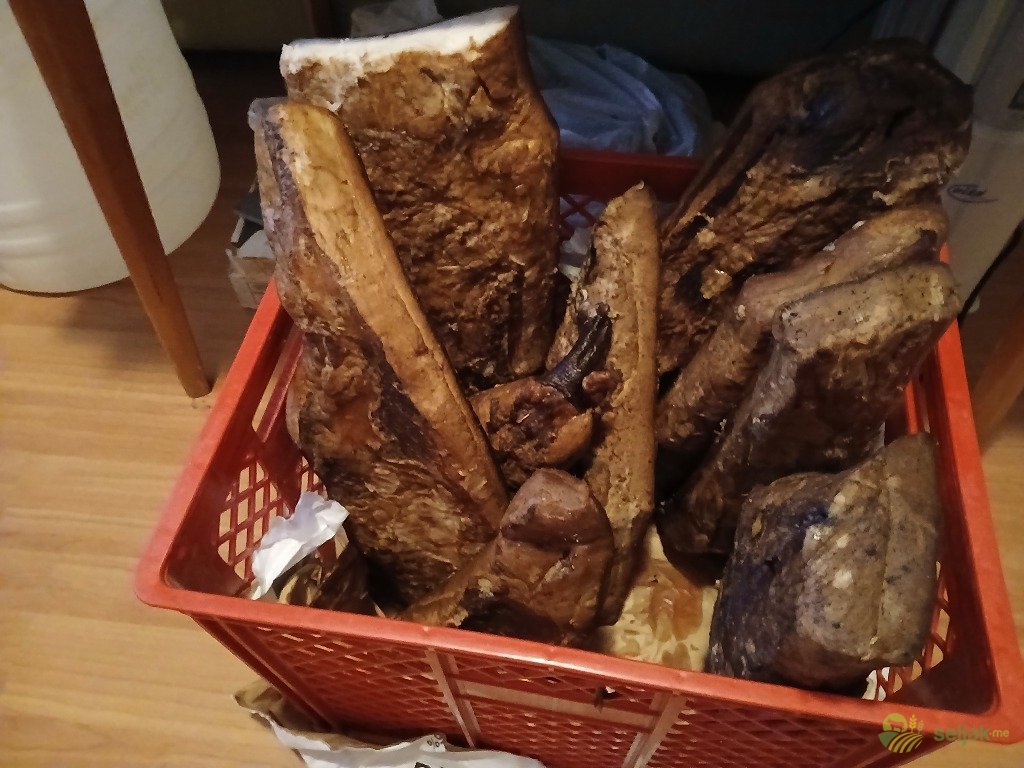https://api.seljak.me/api/storage/posts/29acb7db-38d6-4e1f-a2ff-5b16017e6fad.jpg