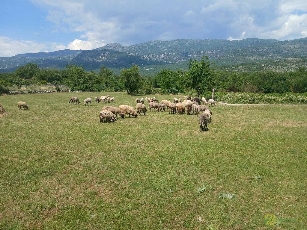 https://api.seljak.me/api/storage/posts/4546944e-95b5-4505-9665-3da2edf05985.jpg