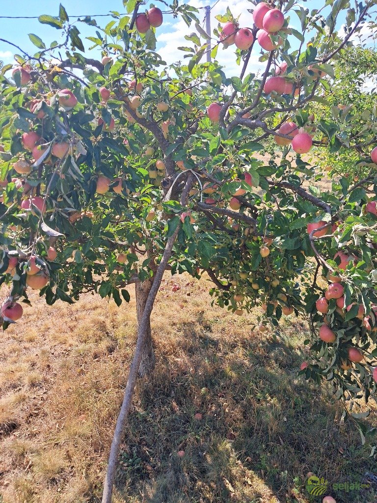 https://api.seljak.me/api/storage/posts/608a5dd5-7006-4c37-a9dc-5aec1b854af7.jpg