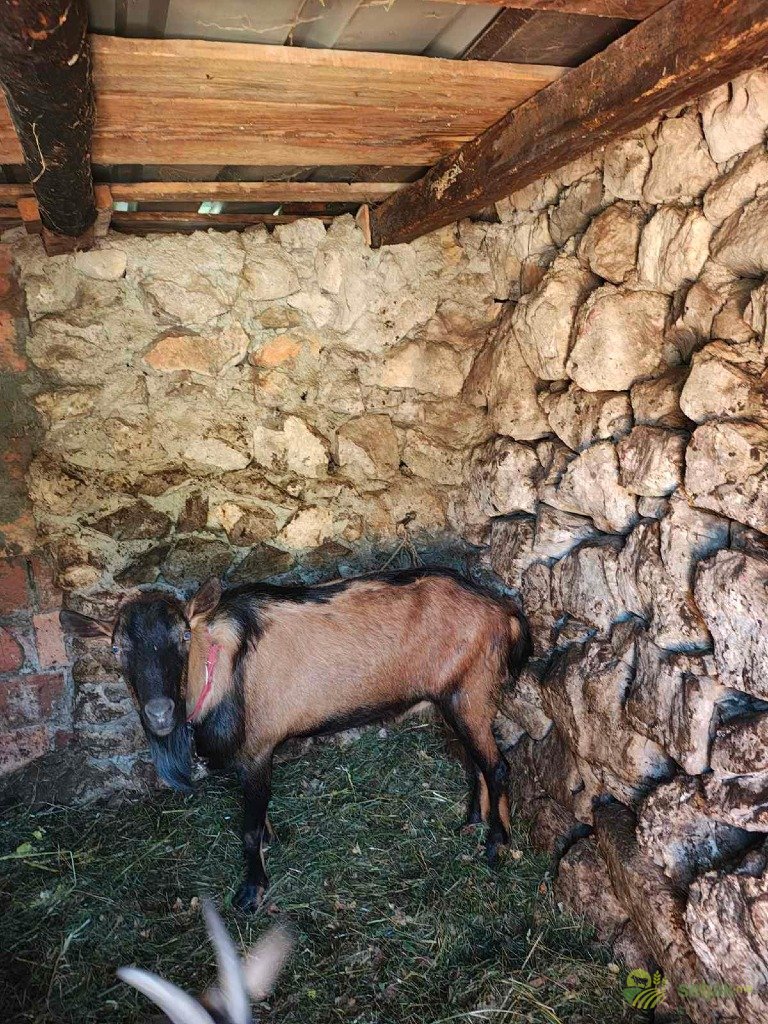 https://api.seljak.me/api/storage/posts/7cb29df2-41fb-4d0a-8de5-7ed32ce4aa99.jpg