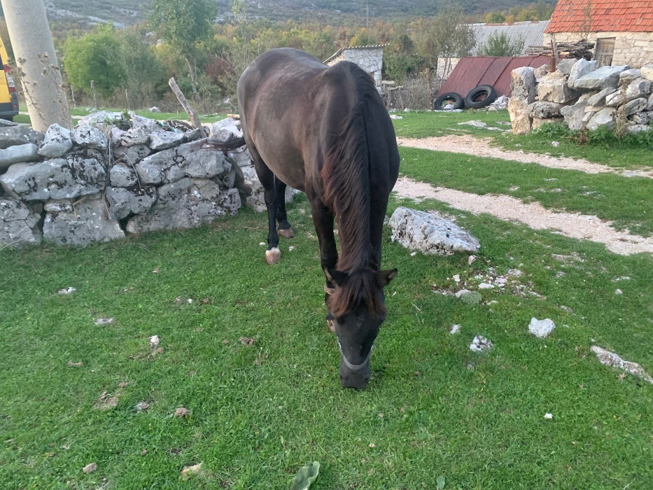 https://api.seljak.me/api/storage/posts/7qpOSzFTMolQLRKg3DdE.jpg