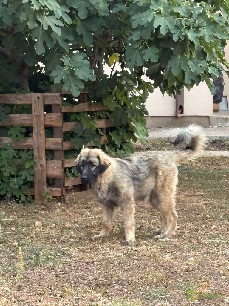 https://api.seljak.me/api/storage/posts/8464bce7-1c79-48f7-9a05-5f330998b7c2.jpg