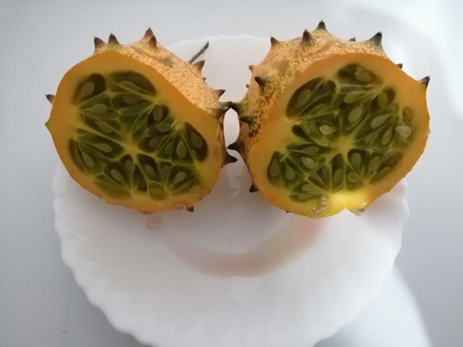 https://api.seljak.me/api/storage/posts/BGqIVtG0yRoAnWkJWyyg.jpg
