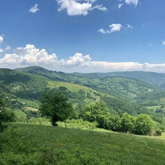 https://api.seljak.me/api/storage/posts/DpFwilGyJYRWGopi8RJN.jpg