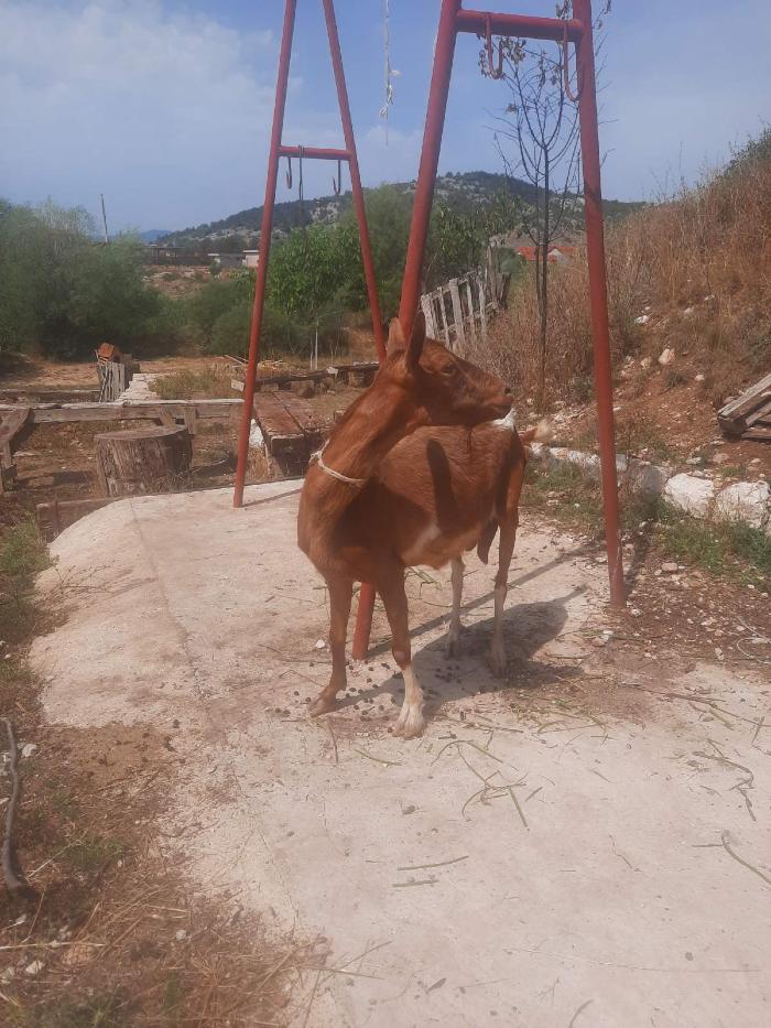 https://api.seljak.me/api/storage/posts/EXgUlsdZLLuRULkHcPsa.jpg