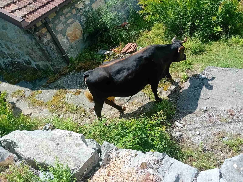 https://api.seljak.me/api/storage/posts/J9yQiZRJ4JEYBOftkH79.jpg