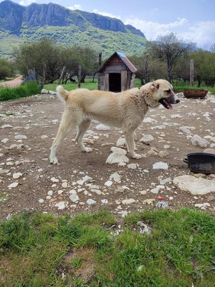 https://api.seljak.me/api/storage/posts/MpZF8nEuD15B46oMbeiU.jpg