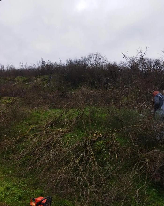 https://api.seljak.me/api/storage/posts/P6OAd72LES61VHn7JMkf.jpg