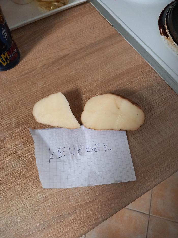 https://api.seljak.me/api/storage/posts/POGCWL8IuiUy1mDuFTcC.jpg