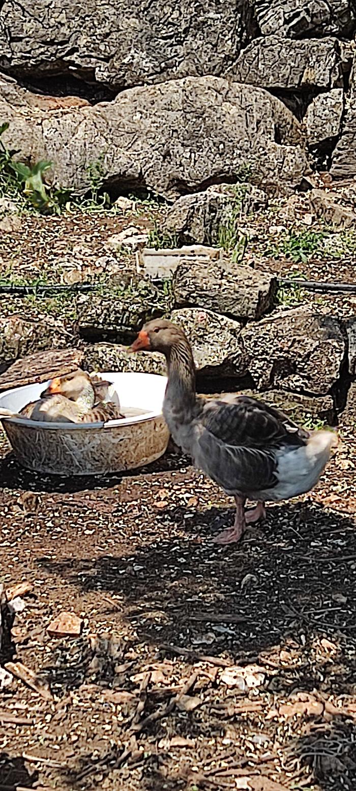 https://api.seljak.me/api/storage/posts/QpeJ3H64GxLWskZqn1oN.jpg