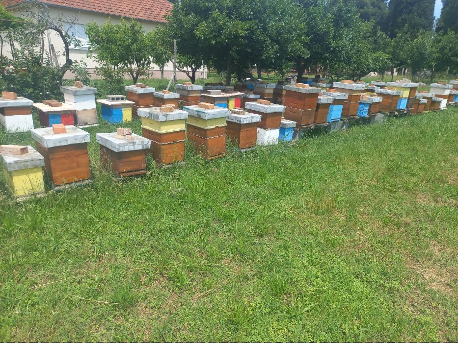 https://api.seljak.me/api/storage/posts/RQu7Mg4JNG7cqm2OeTEV.jpg