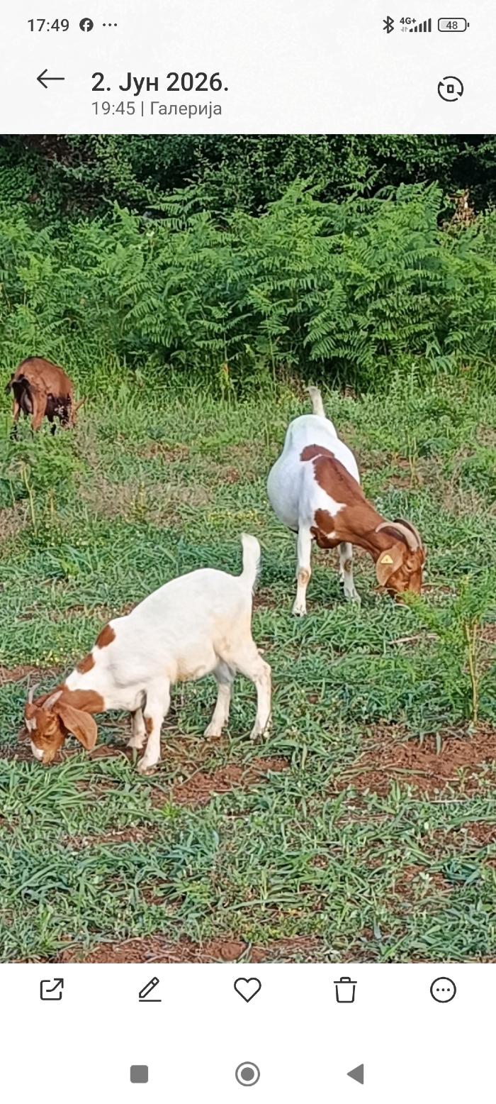 https://api.seljak.me/api/storage/posts/SQkE2lEl0rt1FsYT7qwf.jpg