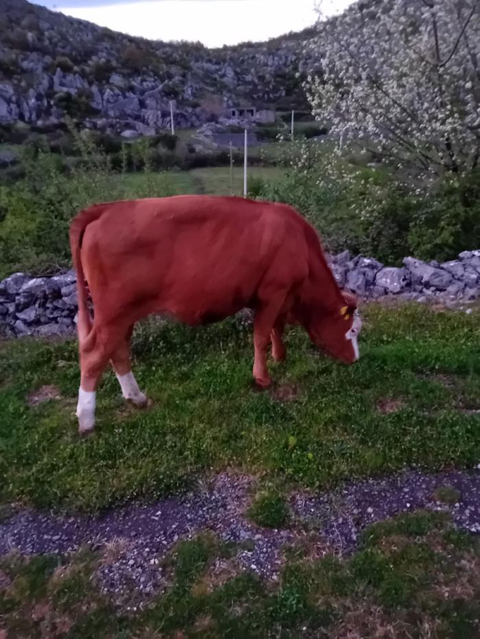 https://api.seljak.me/api/storage/posts/VYxKUq2AawDtEjPmfNI4.jpg
