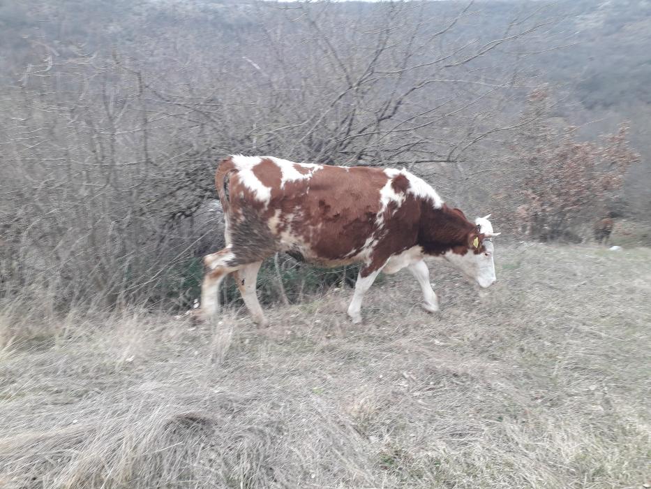 https://api.seljak.me/api/storage/posts/VeRYvvzdamcpPP6oEwhA.jpg