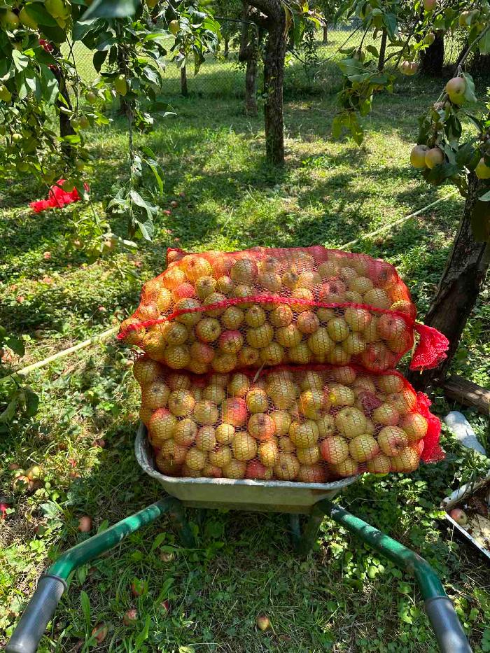 https://api.seljak.me/api/storage/posts/Vns9HjgFHN7uKSIYc1CF.jpg
