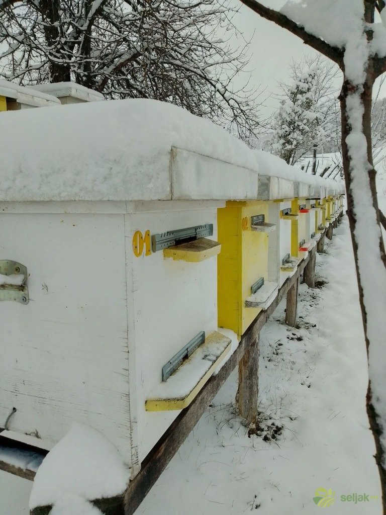 https://api.seljak.me/api/storage/posts/a0a97a34-7769-4235-a33b-8d3e80bc0291.jpg