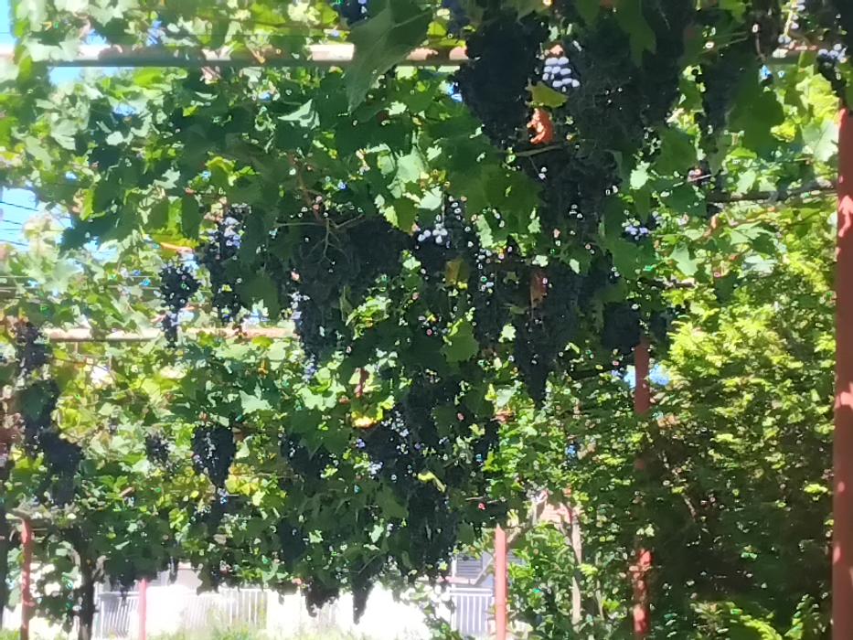 https://api.seljak.me/api/storage/posts/agRO8NINSMyMnRfViRfj.jpg