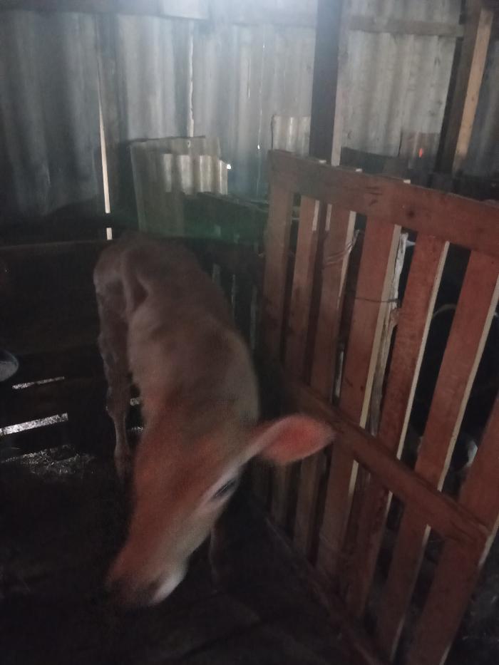 https://api.seljak.me/api/storage/posts/l0WajIN1wz57F4t2zwFH.jpg