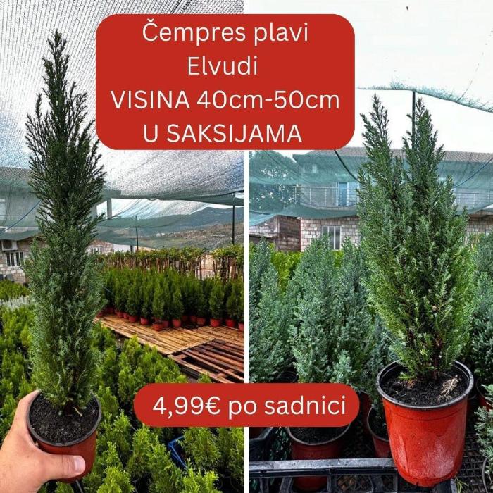 https://api.seljak.me/api/storage/posts/ldEIA3pqLeed6EzRx5Ef.jpg