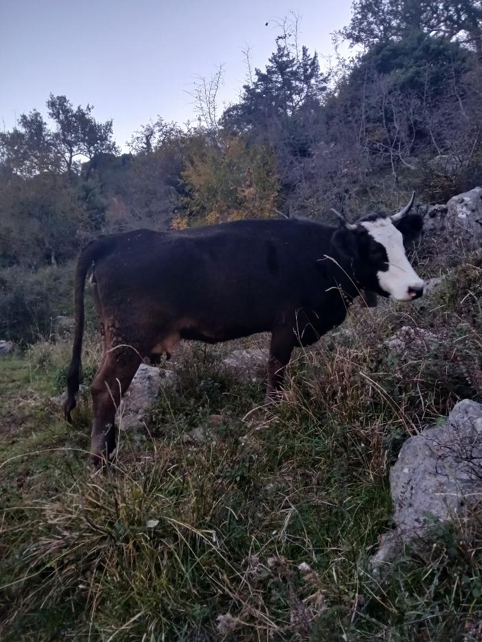 https://api.seljak.me/api/storage/posts/mbw8MbPD6fFYW8wlL33L.jpg