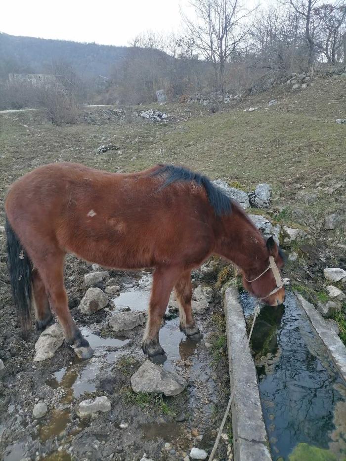 https://api.seljak.me/api/storage/posts/pkH6VlC2roVHSPwGQGap.jpg