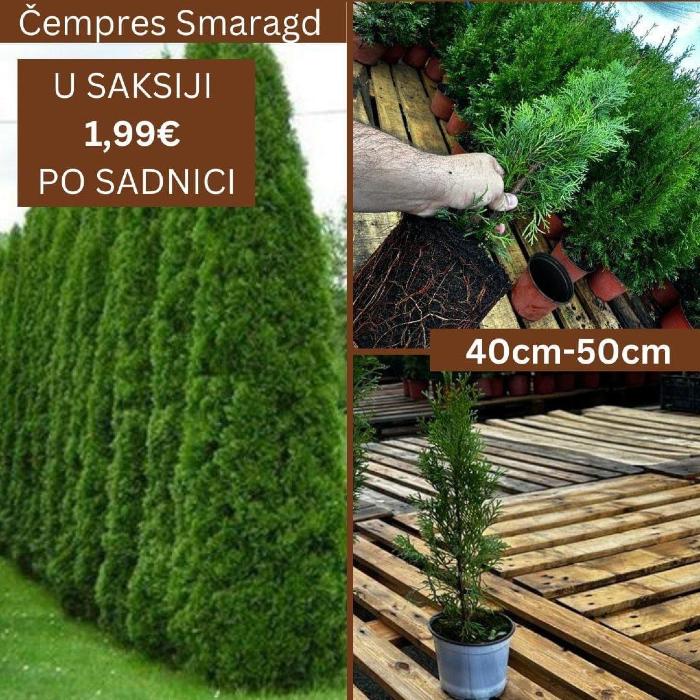 https://api.seljak.me/api/storage/posts/rx9Uc2k73eb99hYEW19B.jpg