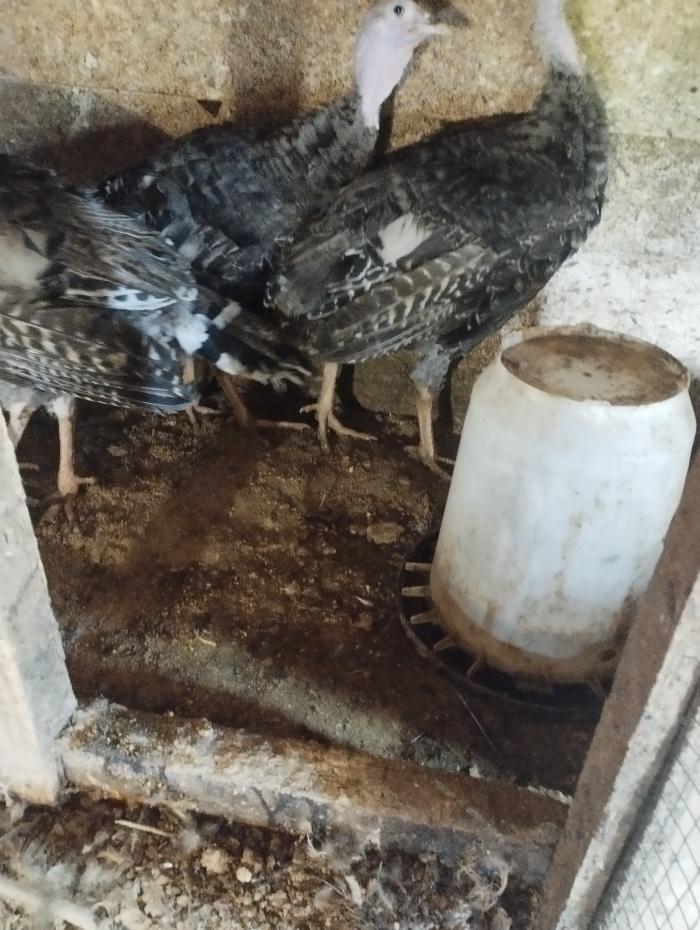 https://api.seljak.me/api/storage/posts/tiEkE75Pa3ny1zydNCXj.jpg