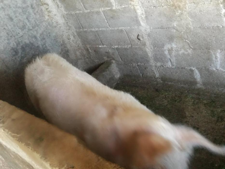 https://api.seljak.me/api/storage/posts/uMsCX5SJhCtQRT5S6Cha.jpg
