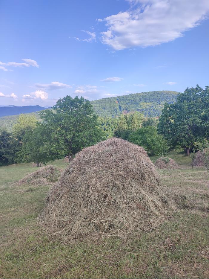 https://api.seljak.me/api/storage/posts/vnUWzxky5rVwSxUVjTBx.jpg