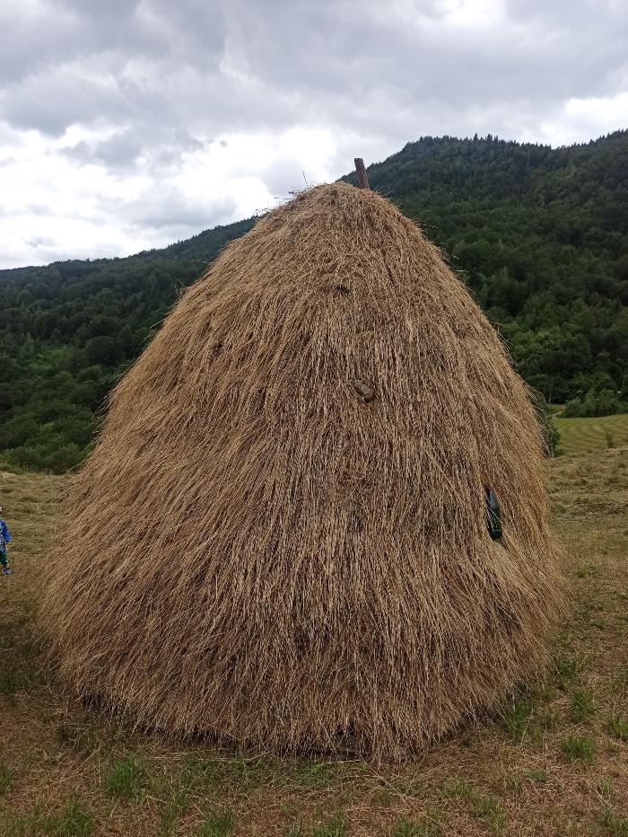 https://api.seljak.me/api/storage/posts/weMsiMf37ycaqhuprgAK.jpg