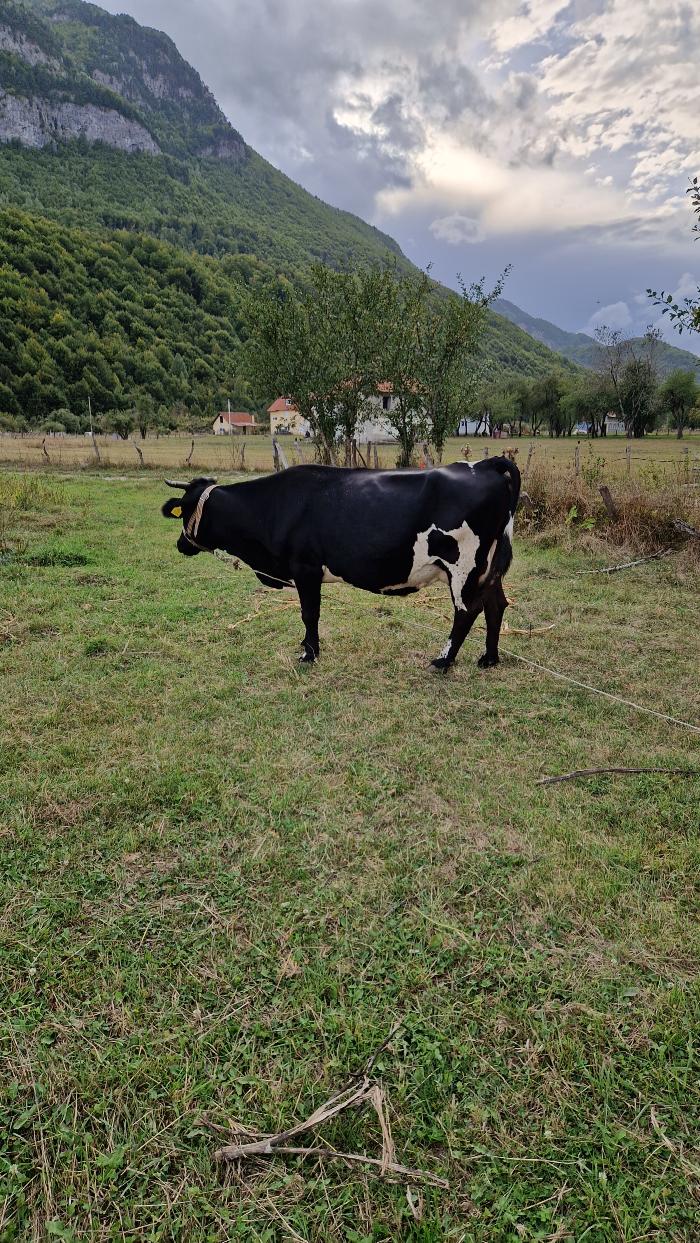 https://api.seljak.me/api/storage/posts/xuOaUMyEg13ydEfyLkP6.jpg