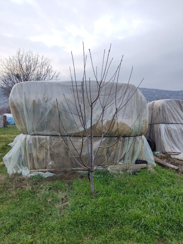 https://api.seljak.me/api/storage/posts/ysju1gRx2Zu7P6uT4fH3.jpg